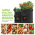 Garnen 7 Gallon Potato Garden Grow Bag with Handles & Harvest Window Black