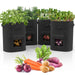 Fosmon Garden Potato Grow Bags with Flap 10 Gallon (4 Pack), Heavy Duty Non-Woven Fabric Planter Bag with Handles & Harvest Window Plant Grow Pot Bag for Tomato Carrot Onion Vegetable Garden Planting