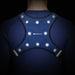 GreatShield GLO Waterproof LED Sport Vest with 2 Front Pockets - Blue (Size L)