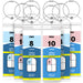 Royal Caribbean and Celebrity Cruise Luggage Tag Holder with Zip Seal & Steel Loops - Clear - 8 Pack