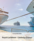 Royal Caribbean and Celebrity Cruise Luggage Tag Holder with Zip Seal & Steel Loops - Clear - 8 Pack