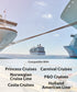 Princess, Carnival, Costa, Holland America, P&O & Norwegian Cruise Luggage Tag Holder with Zip Seal & Steel Loops - Clear - 4 Pack