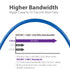 Cat6 Network Ethernet Cable - Blue - 75ft