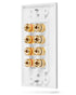 Surround Sound Home Theater Wall Plate with Gold Plated Copper Banana Binding Posts - 4 Speakers - White