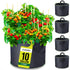 Garnen 10 Gallon Garden Grow Bag with Handles - 5 Pack - Black/Green