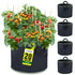 Garnen 10 Gallon Garden Grow Bag with Handles - 5 Pack - Black/Green